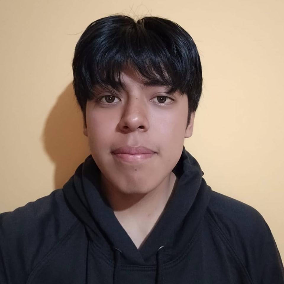 User Image
